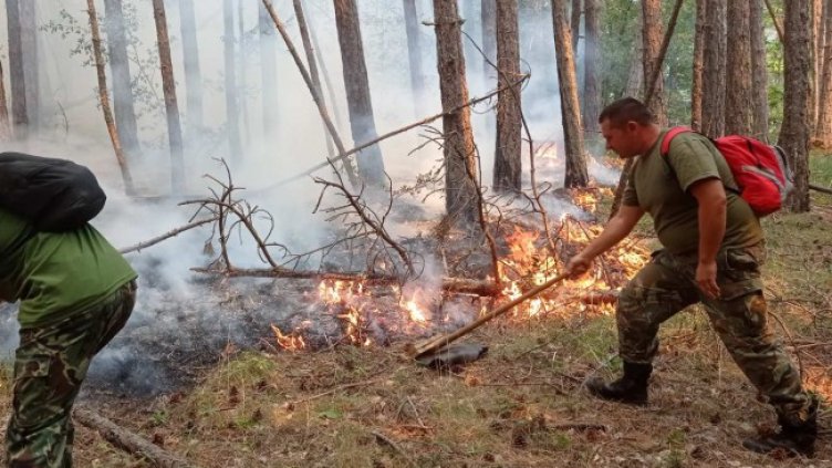 Снимка: БГНЕС