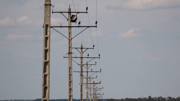 Снимка: Михаил Илиев