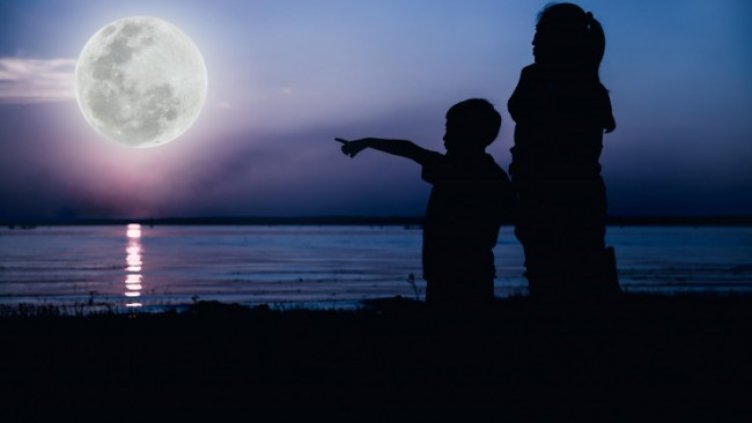 Снимка: iStock