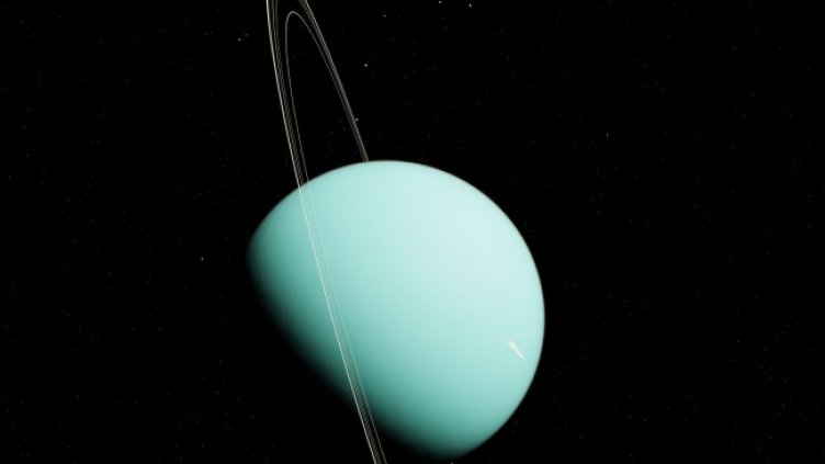 Снимка: Pixabay