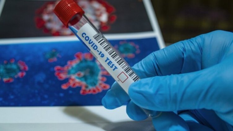 Снимка: Pixabay