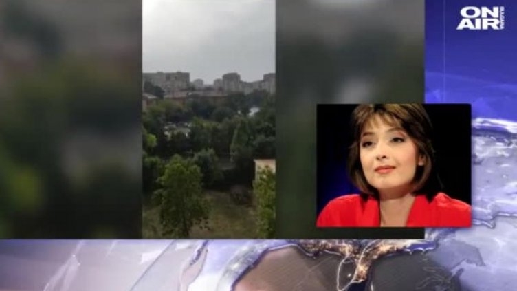 Ударените от мълния мъже разхождали куче, скрили се под дърво 