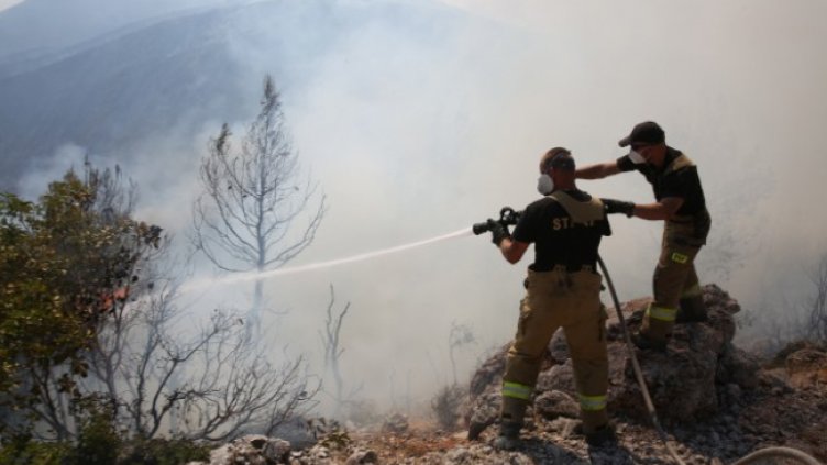 Снимка: БГНЕС