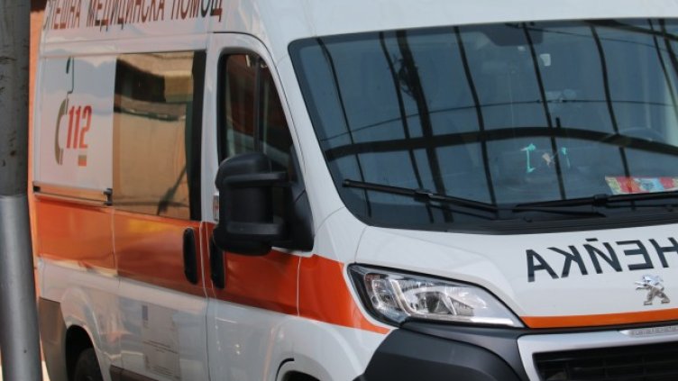 Снимка: архив, БГНЕС