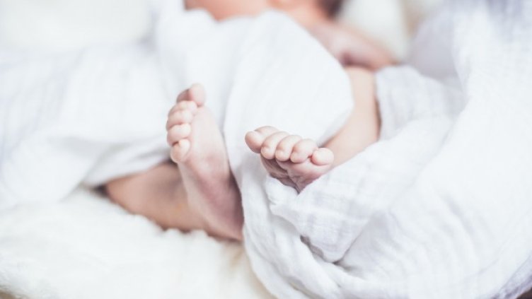 Снимка: Pixabay