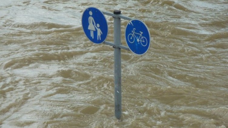 Снимка: Pixabay