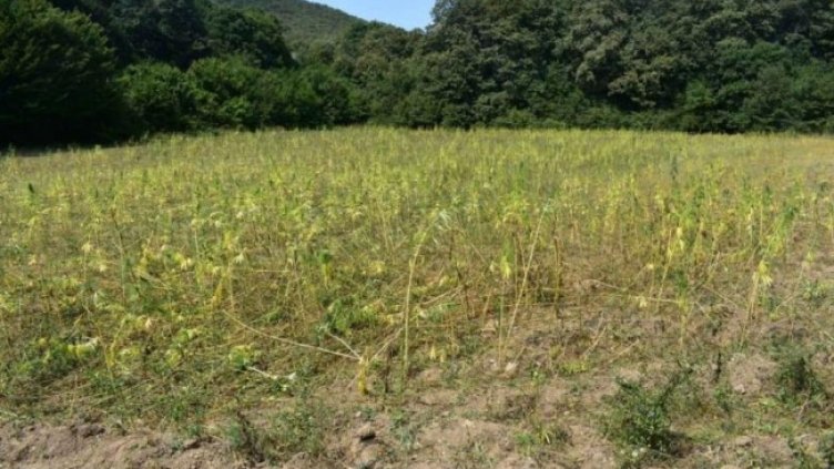 Снимка: МВР - Сливен