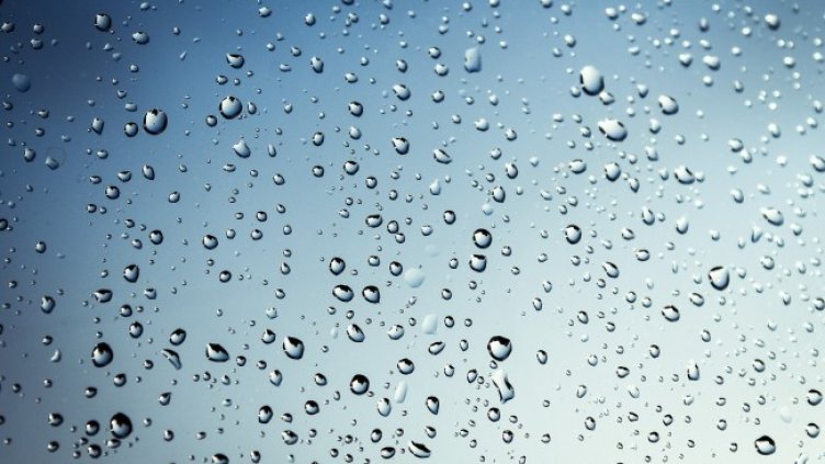 Снимка: Pixabay