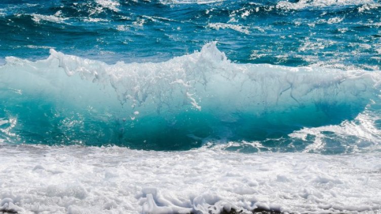 Снимка: Pixabay