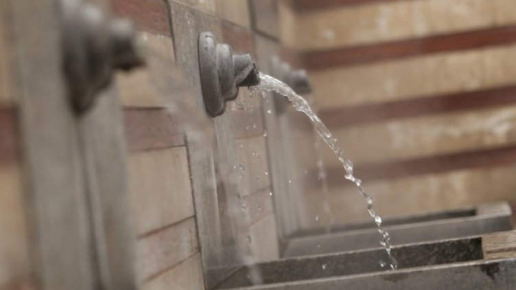 Снимка: БГНЕС, архив