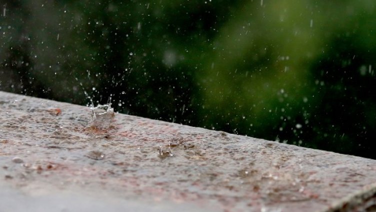 Снимка: архив, БГНЕС