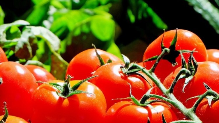 Снимка: Pixabay