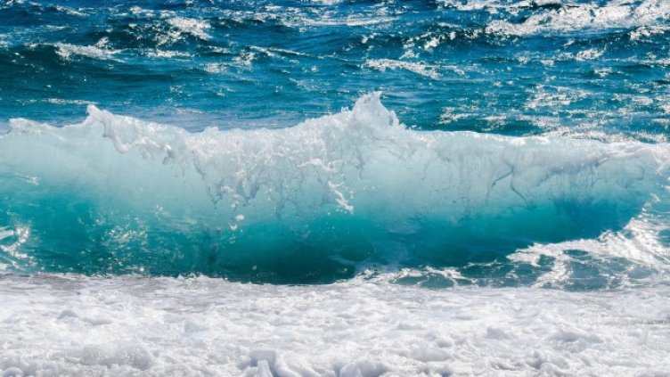 Снимка: Pixabay