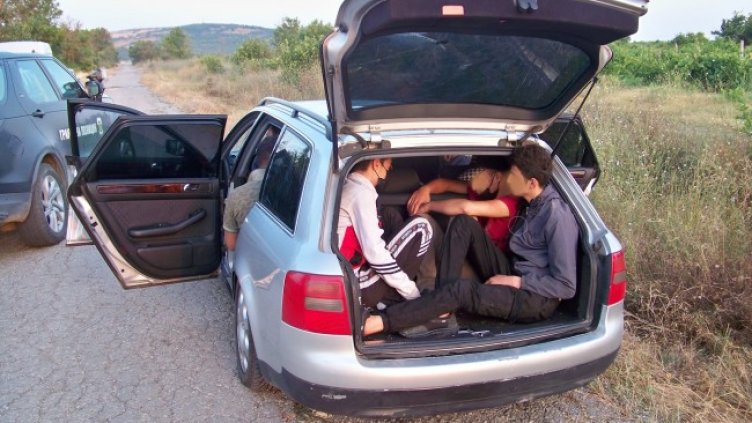 Снимка: БГНЕС