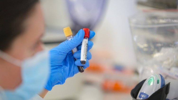 Снимка: Димитър Кьосемарлиев, Dnes.bg