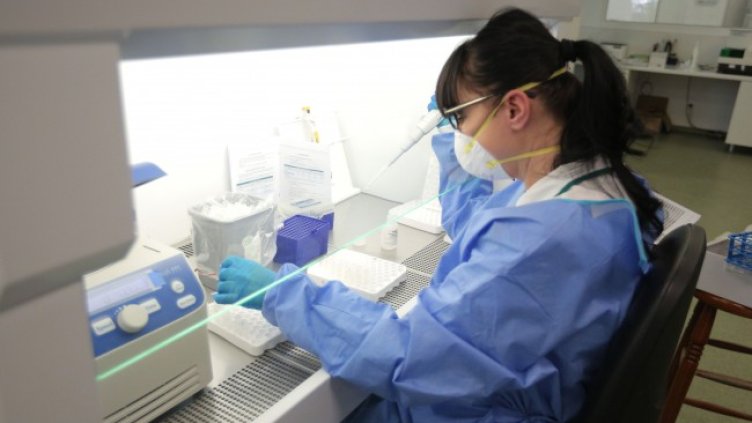 Снимка: Димитър Кьосемарлиев, Dnes.bg