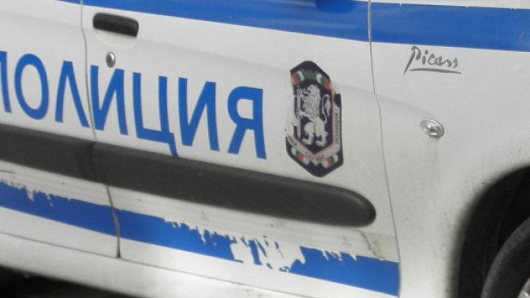 Снимка: архив, БГНЕС