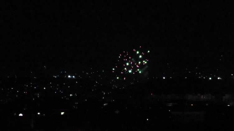 Снимка: архив, БГНЕС