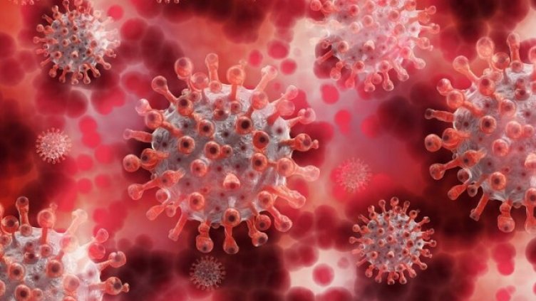 Снимка: Pixabay