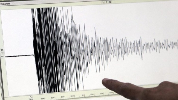 Снимка: архив, БГНЕС