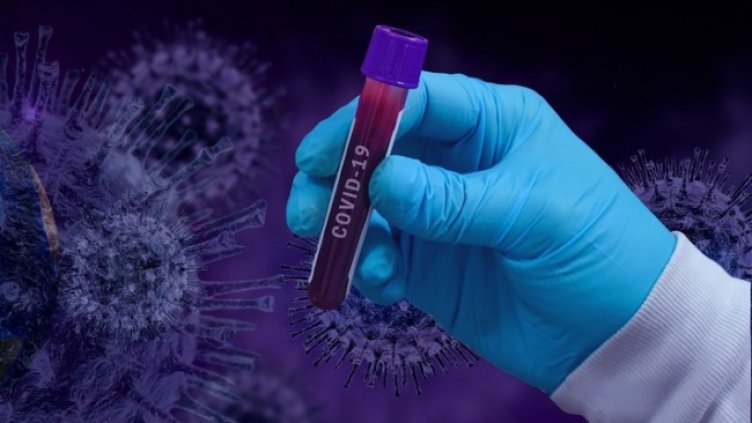 Снимка: Pixabay