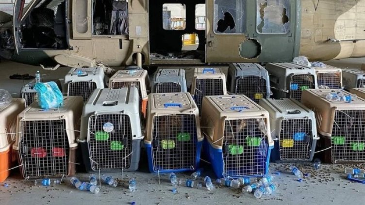 Снимка: Twitter