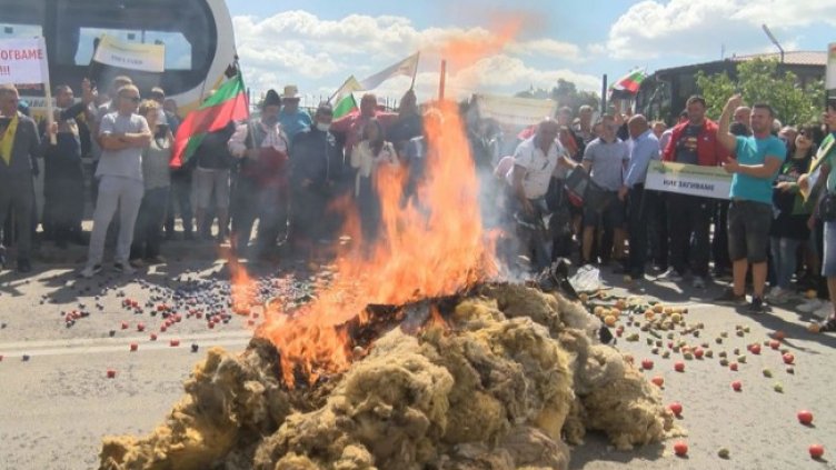 Снимка: БГНЕС