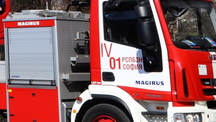 Снимка: архив, БГНЕС