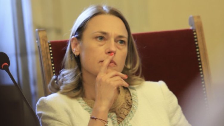 Снимка: БГНЕС