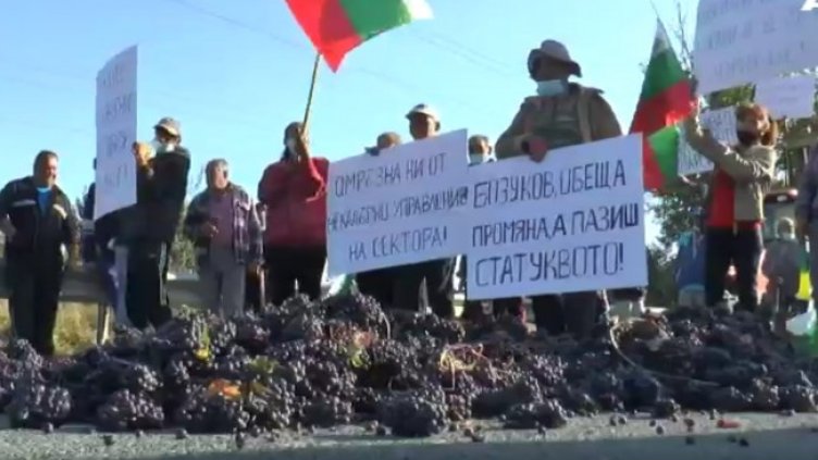 Снимка: Bulgaria ON AIR