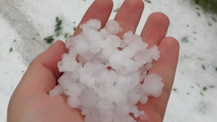 Снимка: архив, БГНЕС