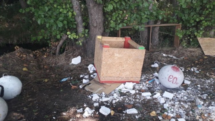 Снимка: Васил Игнатов