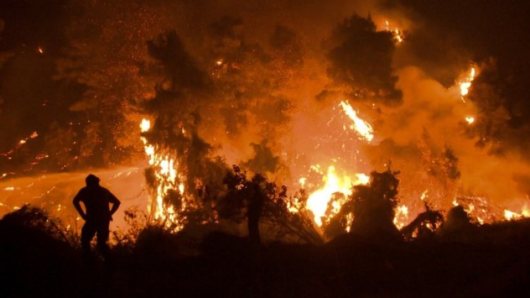 Снимка: БГНЕС