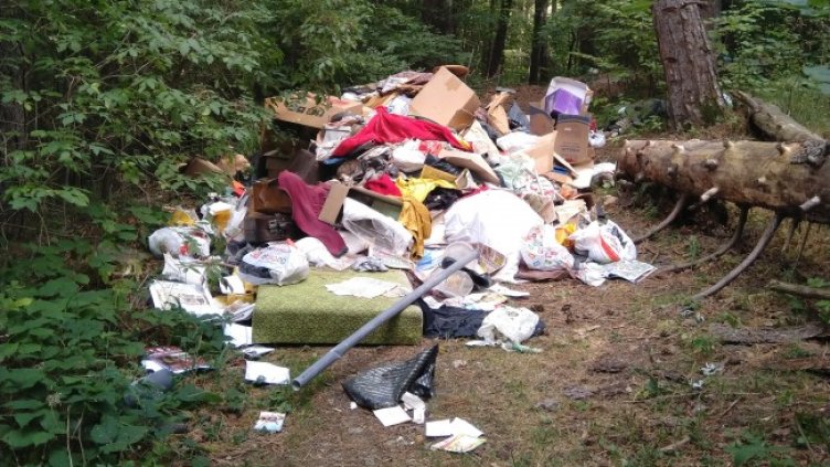 Снимка: Helpbook