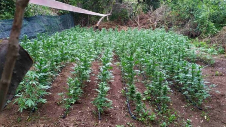 Снимка: МВР