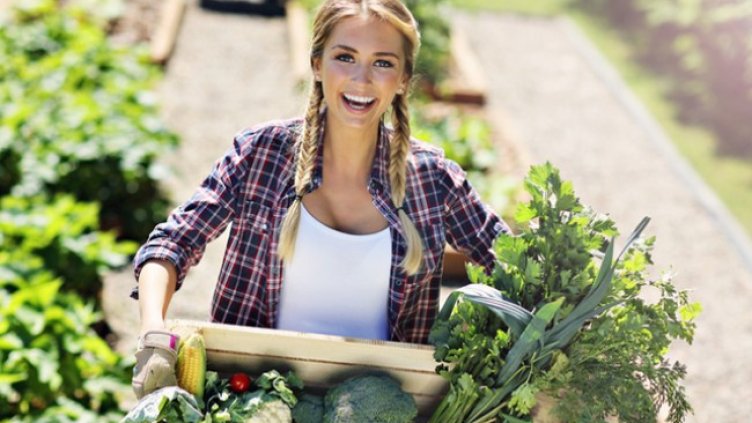 Снимка: Istock