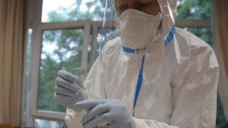 Снимка: Димитър Кьосемарлиев, Dnes.bg