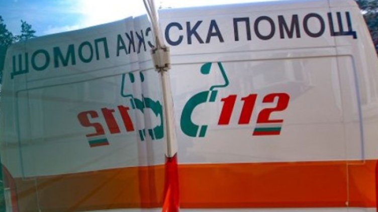 Снимка: Димитър Кьосемарлиев, Dnes.bg