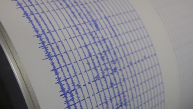 Снимка: архив, БГНЕС