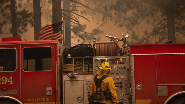Снимка: архив, БГНЕС