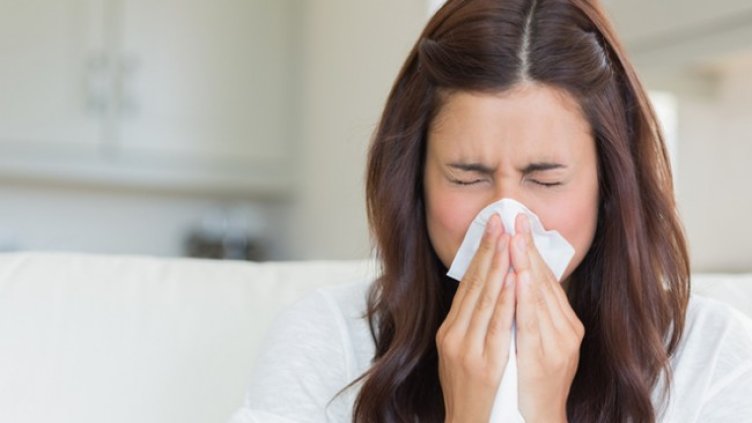 Снимка: Istock