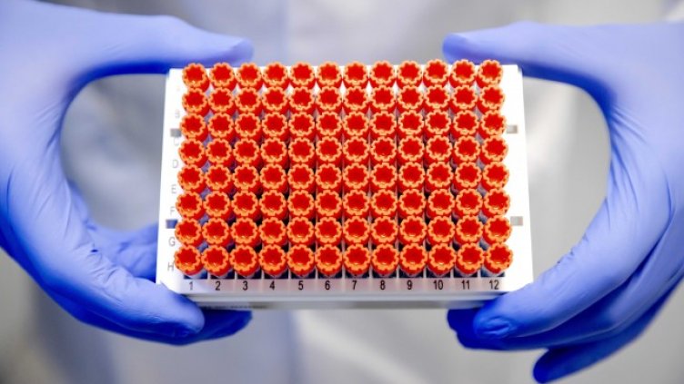 Снимка: архив, БГНЕС