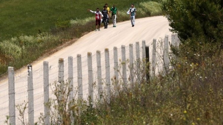 Снимка: архив, БГНЕС