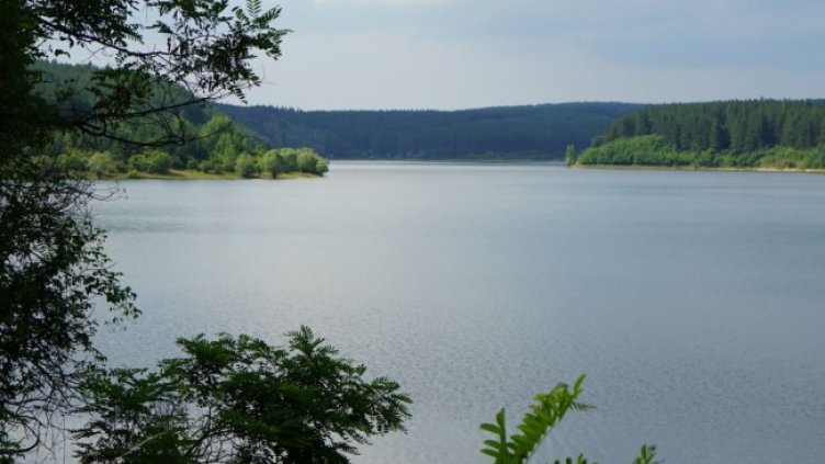 Снимка: БГНЕС, архив