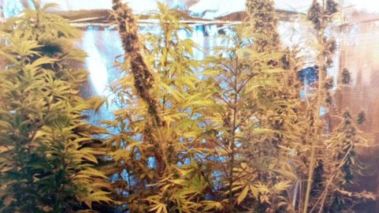 Снимка: архив, БГНЕС