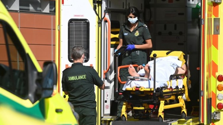 Снимка: архив, БГНЕС