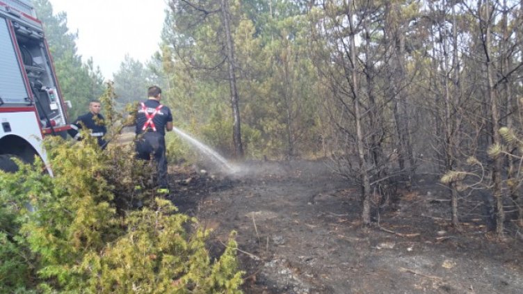 Снимка: БГНЕС