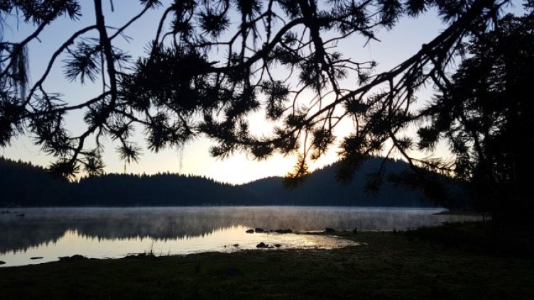 Снимка: архив, БГНЕС