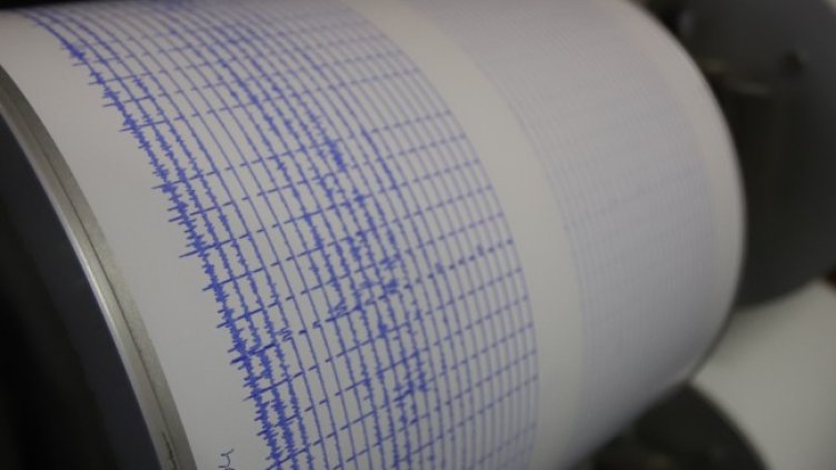 Снимка: архив, БГНЕС