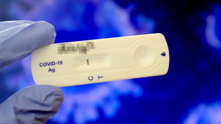 Снимка: архив, БГНЕС